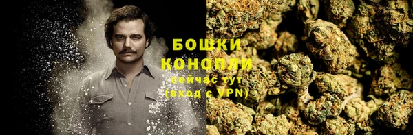прущие грибы Козельск
