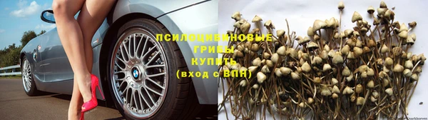 герыч Абинск